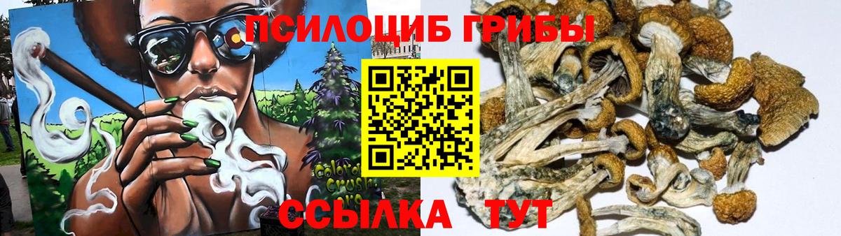 Галлюциногенные грибы прущие грибы  Галлюциногенные грибы GOLDEN TEACHER  Вход с VPN  Братск 